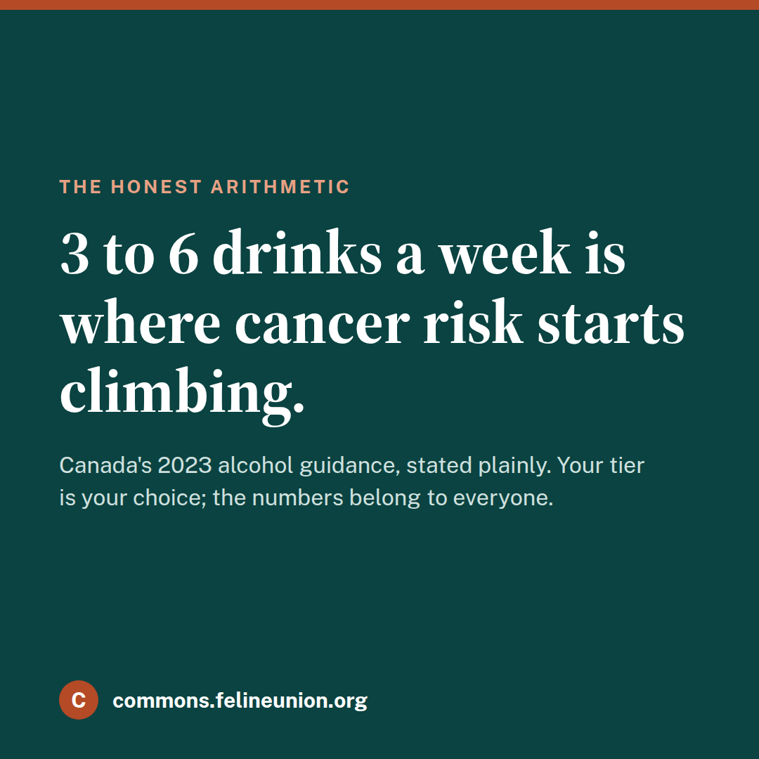 Tile: 3 to 6 drinks a week is where cancer risk starts climbing.
