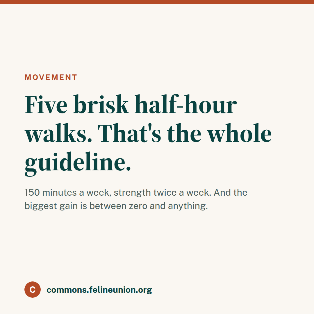 Tile: Five brisk half-hour walks, that's the whole guideline.
