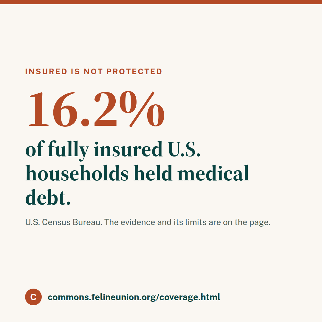 Tile: 16.2 percent of fully insured U.S. households held medical debt.